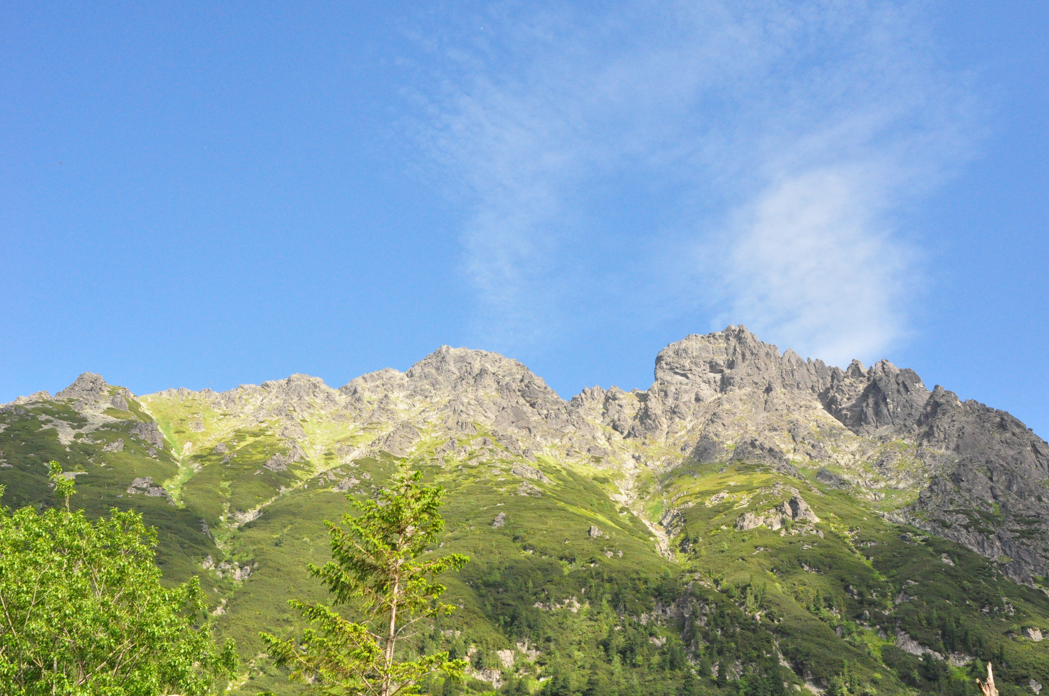 L&rsquo;avis des voyageurs