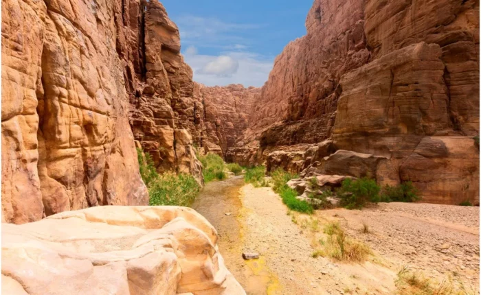 11voyage yoga Jordanie