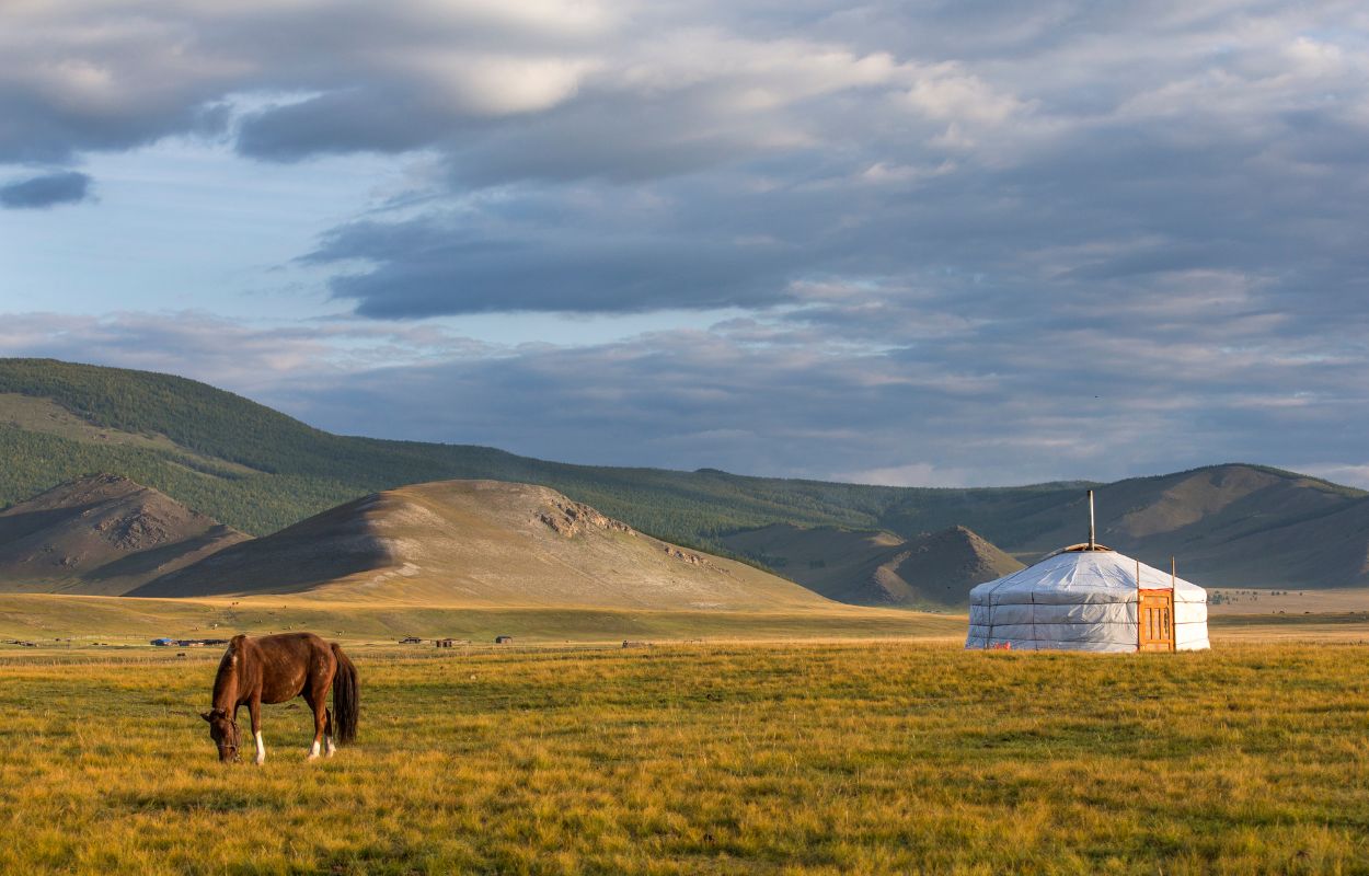 11voyage mongolie