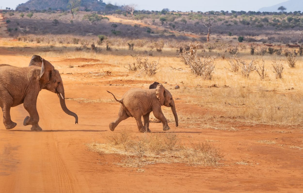 11Voyage yoga solidaire Tanzanie