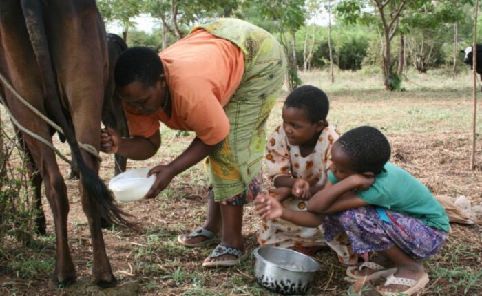 11Voyage yoga Tanzanie
