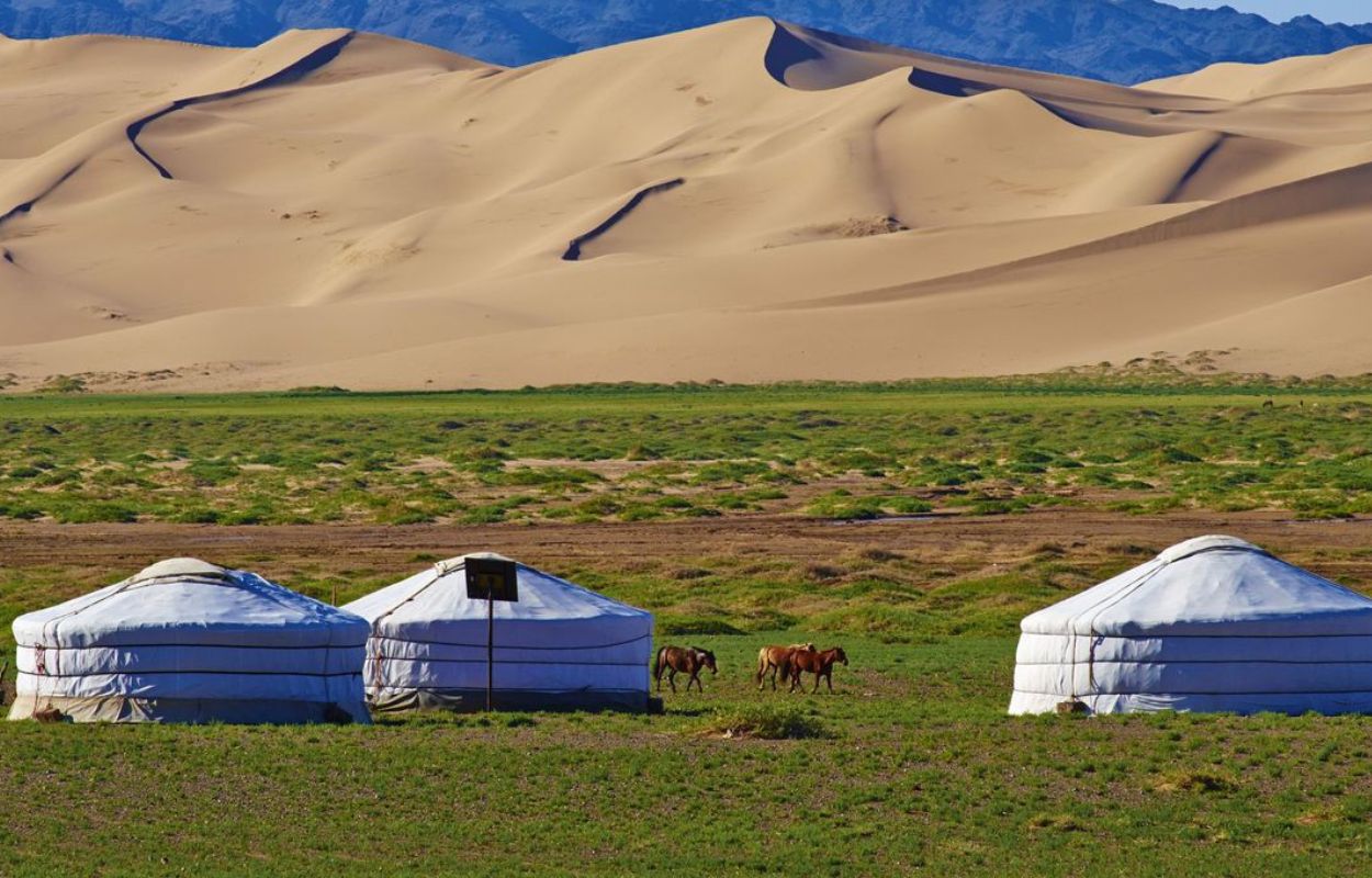 11voyage en Mongolie