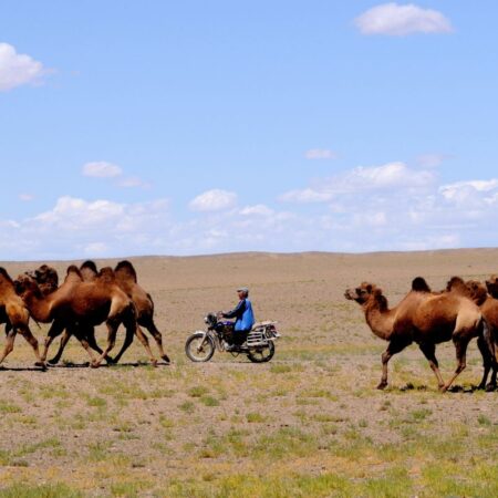 voyage yoga Mongolie
