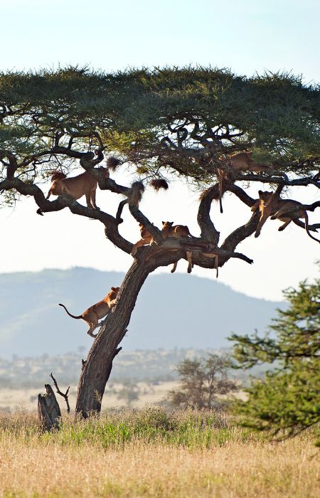 11voyage yoga en Tanzanie