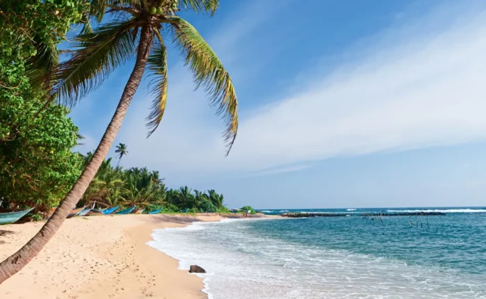 11road trip au sri lanka