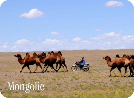 11agence de voyages solidaires