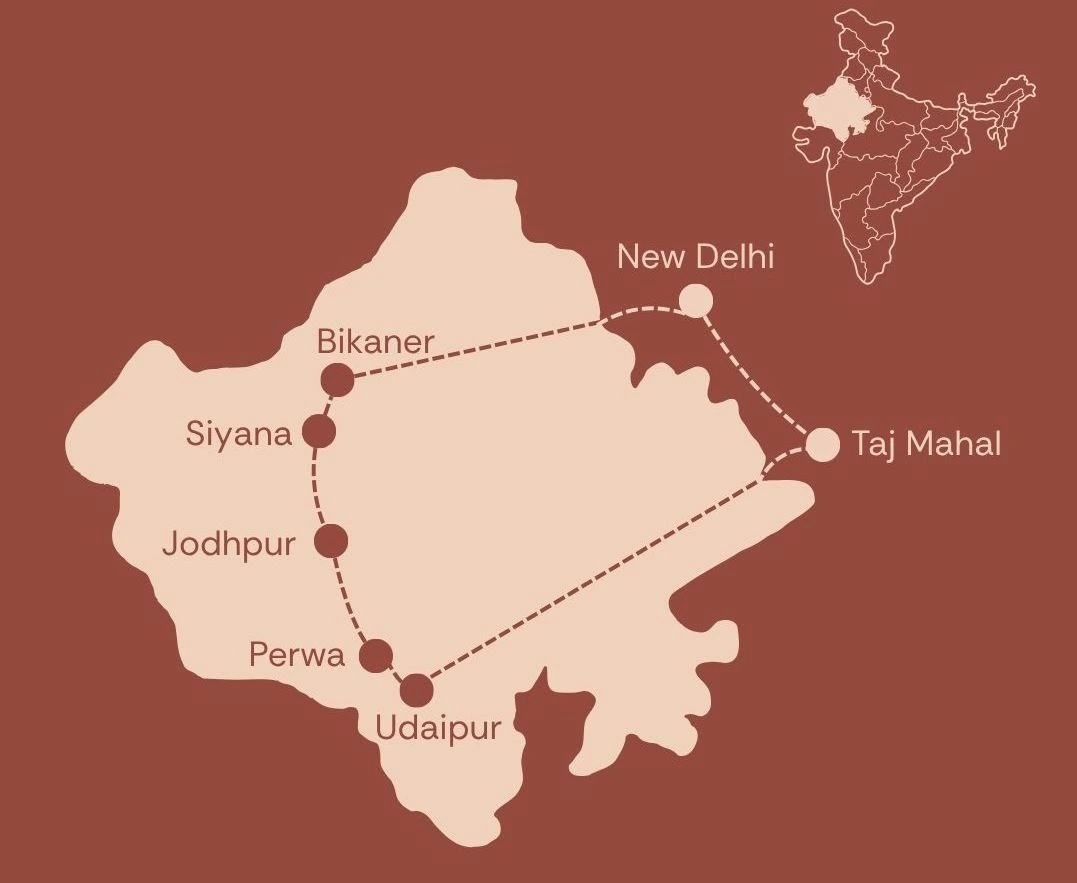11Circuit Rajasthan