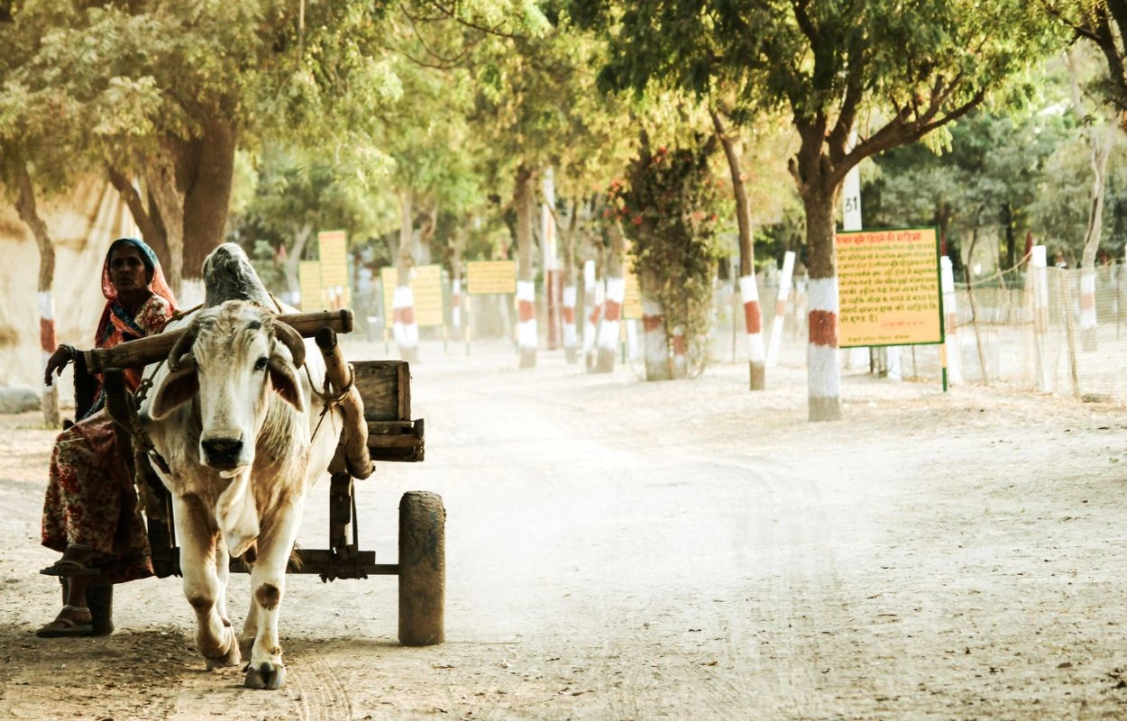 11voyage solidaire en Inde