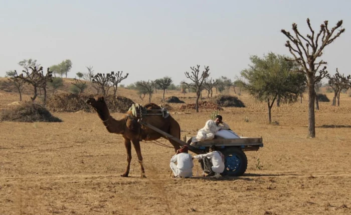 11voyage solidaire en Inde