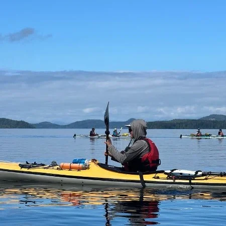 observation des orques au Canada