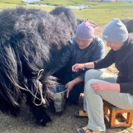 road trip en mongolie