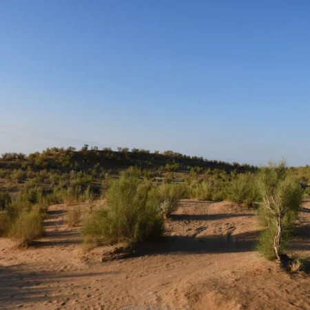 Quand partir en Ouzbékistan ?