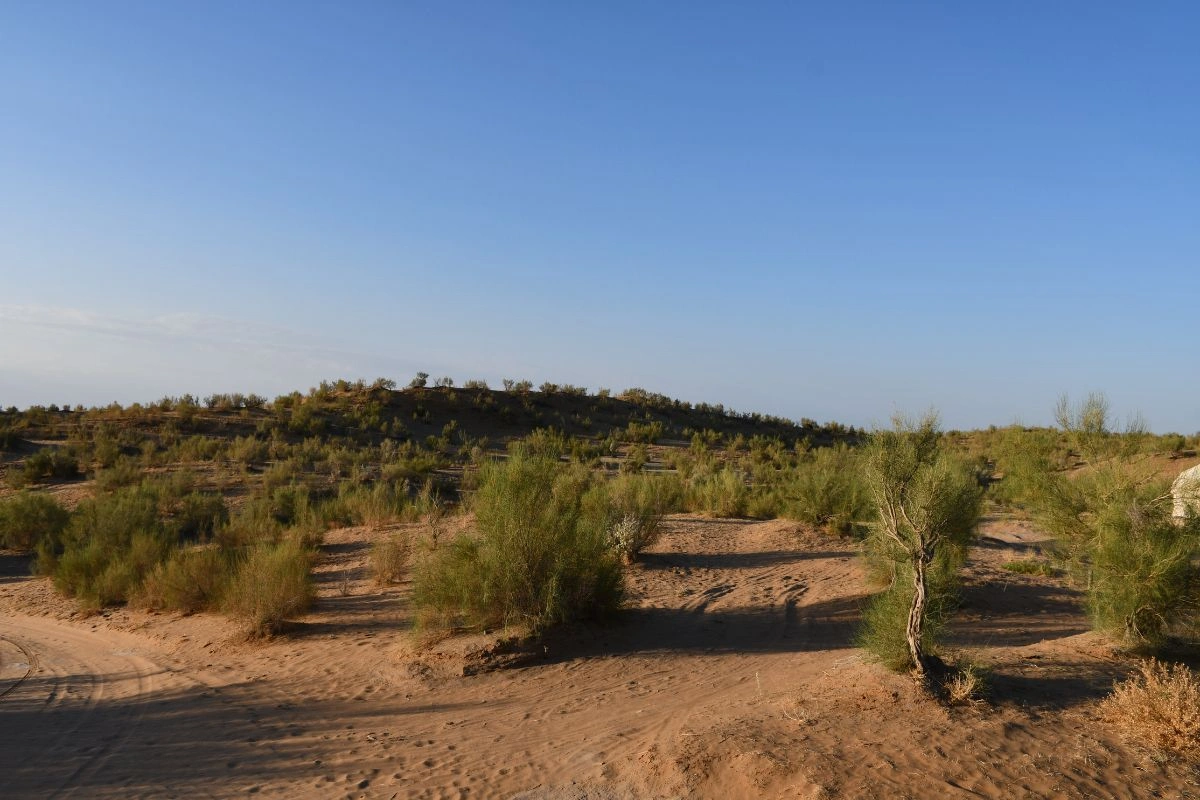 voyage solidaire en Ouzbékistan