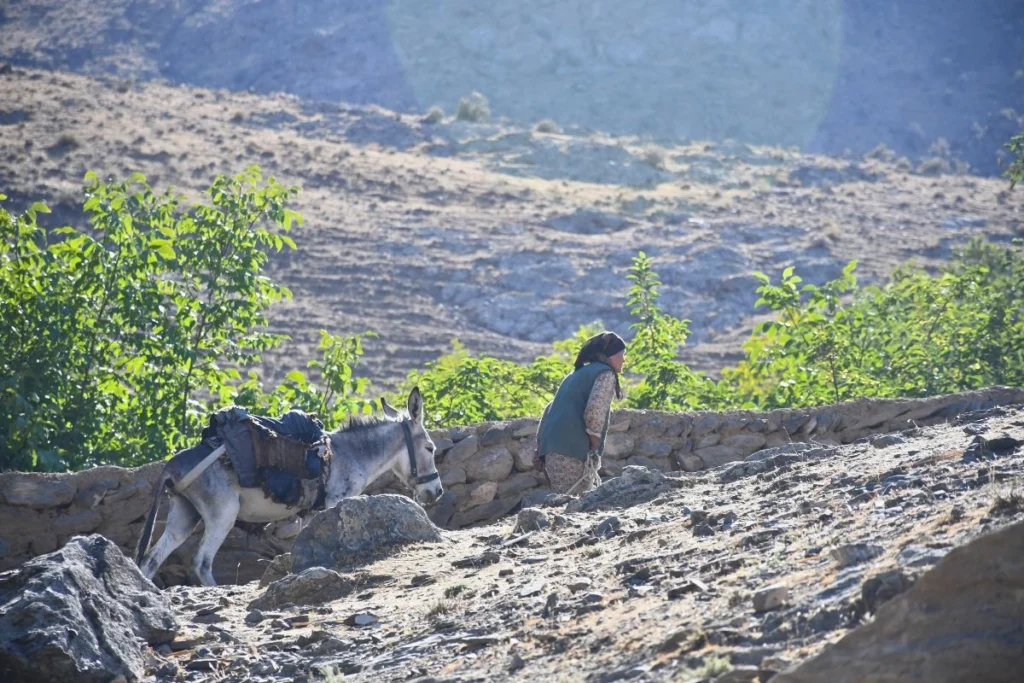 Voyage chez l’habitant : une expérience culturelle authentique
