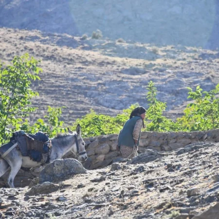 Voyage chez l’habitant : une expérience culturelle authentique
