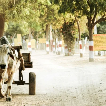 voyage solidaire en inde - bikaner