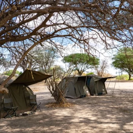 Voyage solidaire en Tanzanie