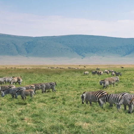 Voyage solidaire en Tanzanie