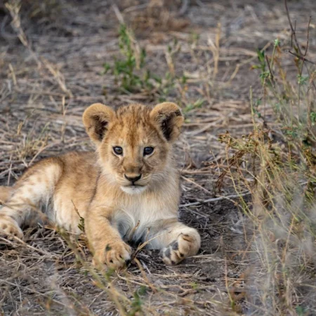 Voyage solidaire en Tanzanie