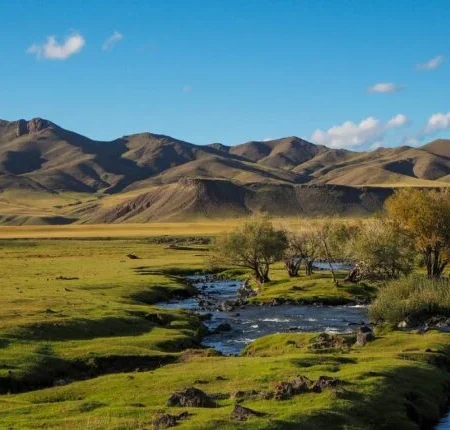 voyage yoga en mongolie