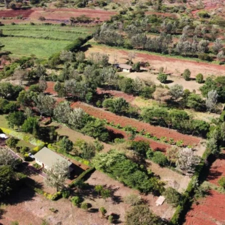 Hébergement Tanzanie