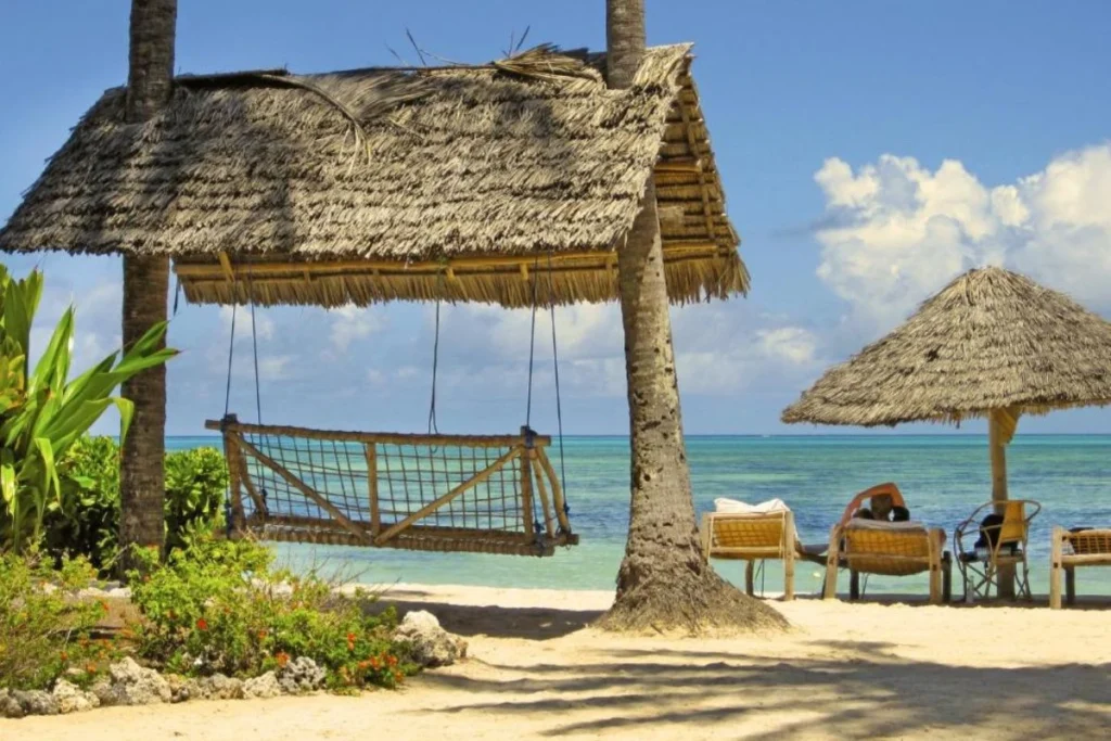 Que faire en Tanzanie ?