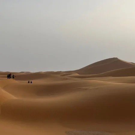 Immersion sahara en famille