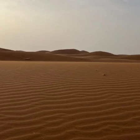 Immersion sahara en famille