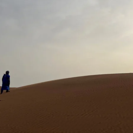 Immersion sahara en famille