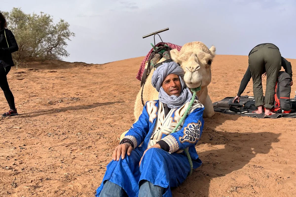 Chamelier nomade au bivouac pendant un trek dans le désert au Maroc