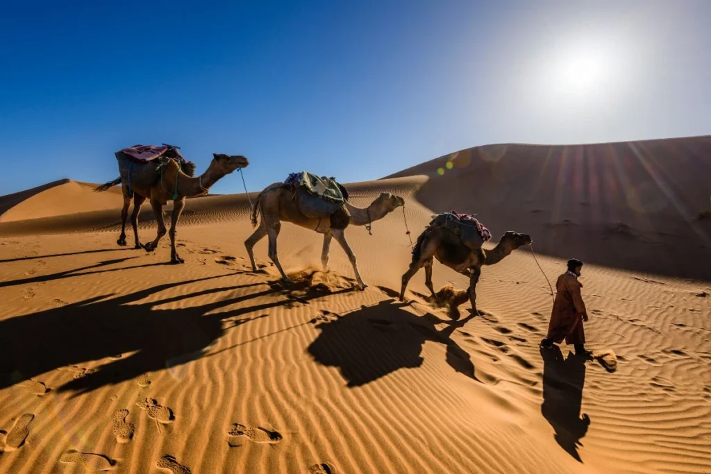 Quand partir au Maroc ?