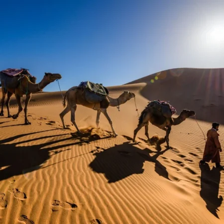 Quand partir au Maroc ?