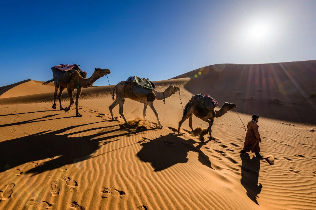 voyage en famille au maroc