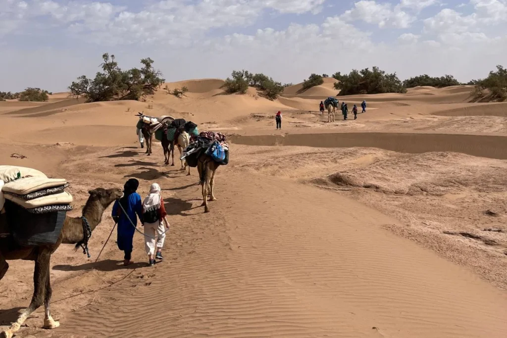 Trek désert Maroc