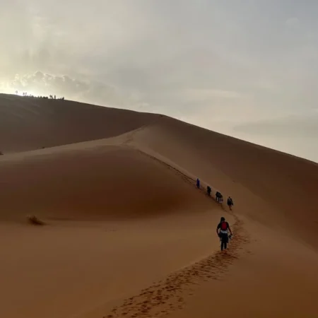 Immersion sahara en famille