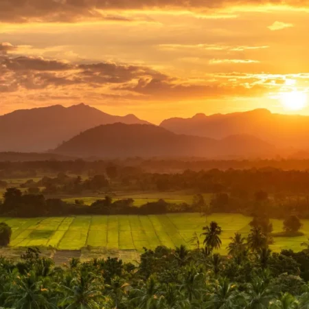 voyage solidaire au sri lanka