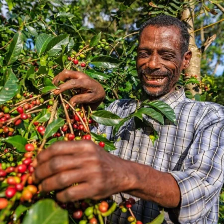 Voyage immersif en Tanzanie