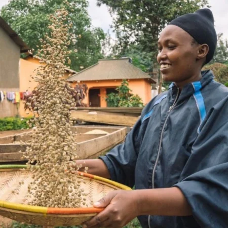 Voyage immersif en Tanzanie