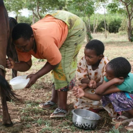 Voyage immersif en famille en Tanzanie