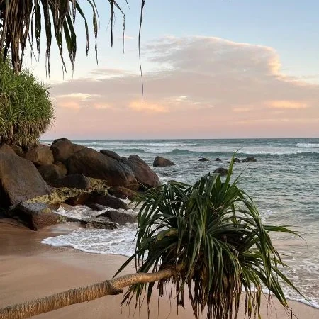 voyage solidaire au sri lanka