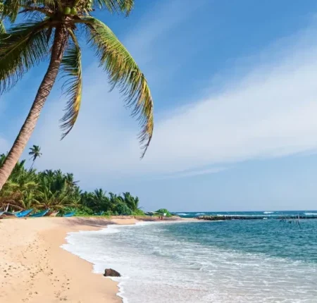 voyage solidaire au sri lanka