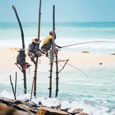 voyage solidaire au sri lanka