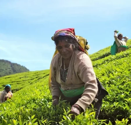 voyage solidaire au sri lanka
