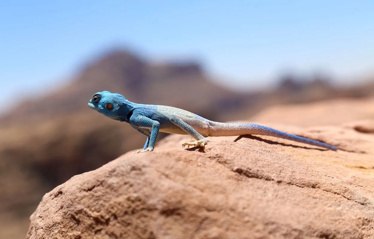 Page Catégorie : <span>Envie d’évasion & inspiration</span>