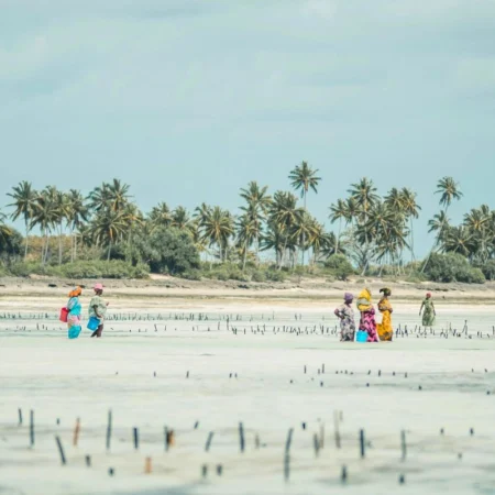 voyage en famille à Zanzibar