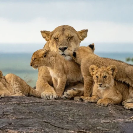 voyage en famille en Tanzanie