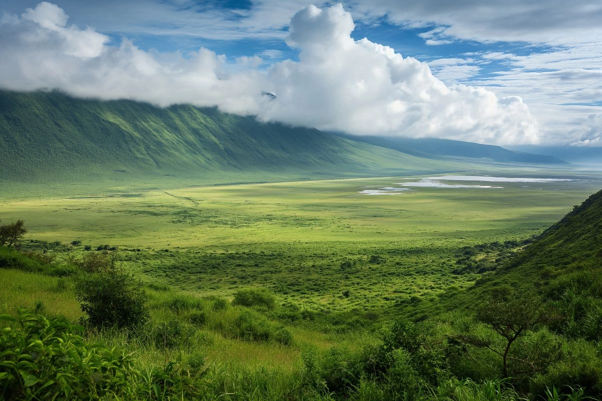 Vue sur le cratère du Ngorongoro depuis ses bords, en Tanzanie