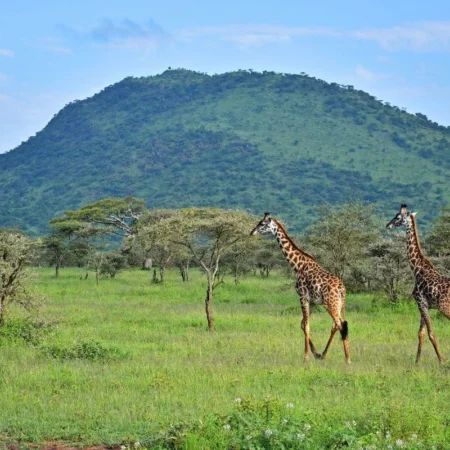 voyage en famille en Tanzanie