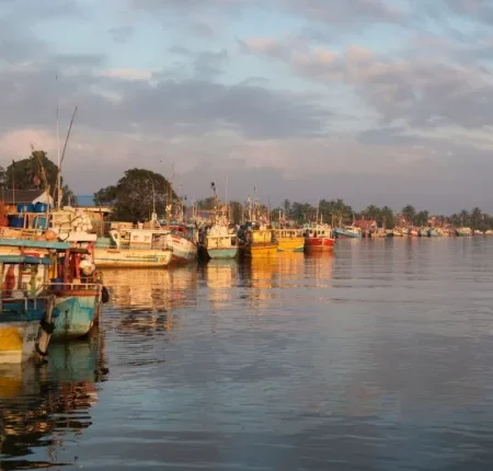 voyage solidaire au sri lanka