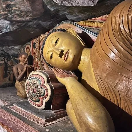 voyage solidaire au sri lanka